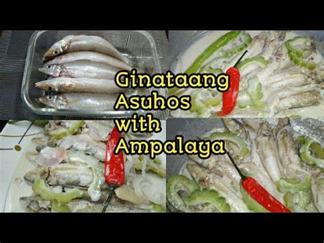 asohos fish|Ginataang Asohos .